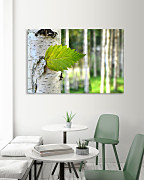 Obraz Lístoček z brezy zs1126